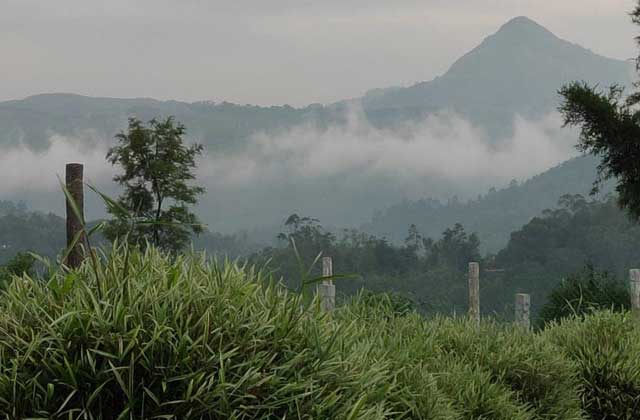 View3